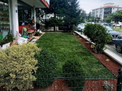Peyzaj