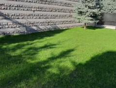 Peyzaj Ankara